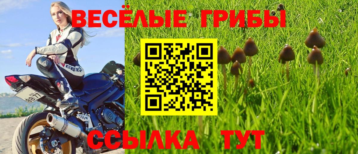 Псилоцибиновые грибы Magic Shrooms  Вход с VPN  Выкса 